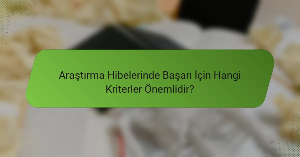 Araştırma Hibelerinde Başarı İçin Hangi Kriterler Önemlidir?