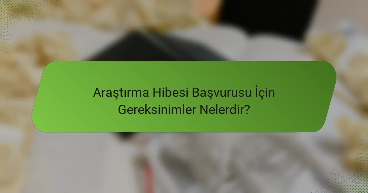 Araştırma Hibesi Başvurusu İçin Gereksinimler Nelerdir?