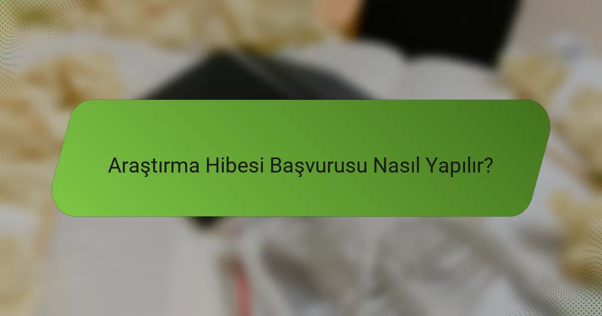 Araştırma Hibesi Başvurusu Nasıl Yapılır?