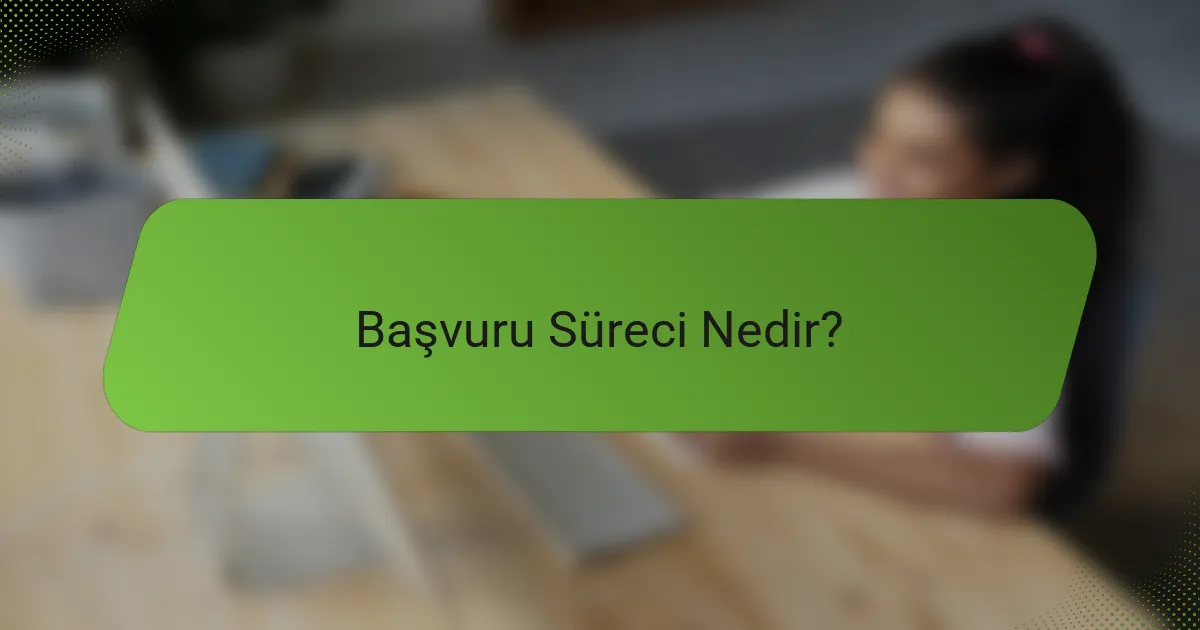 Başvuru Süreci Nedir?