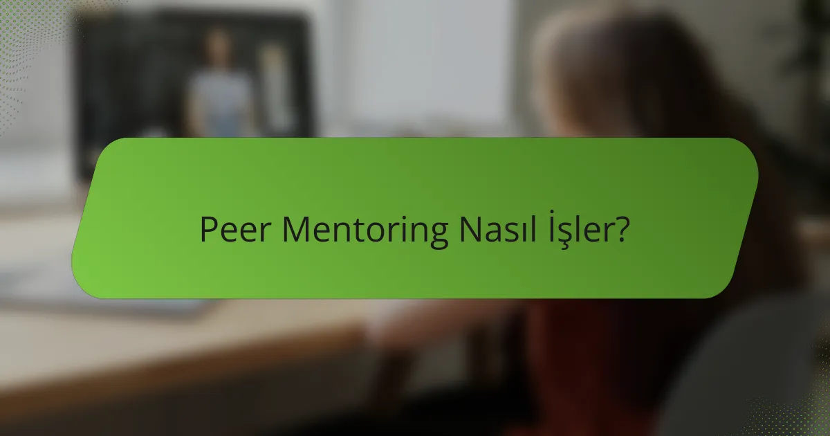 Peer Mentoring Nasıl İşler?