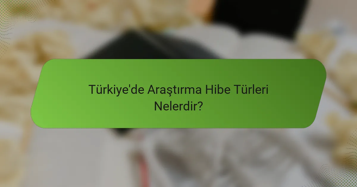 Türkiye'de Araştırma Hibe Türleri Nelerdir?